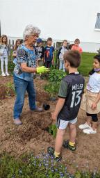 Schüler beim Pflanzen im Schulgarten der Grundschule Hardt