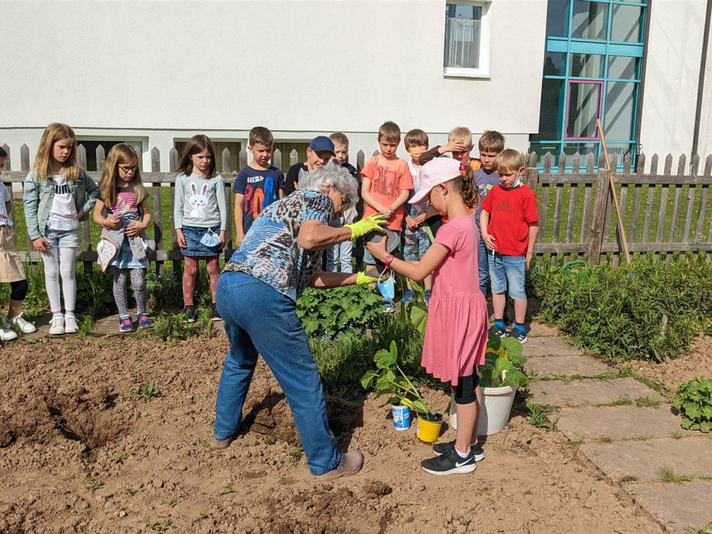 Schüler beim Pflanzen im Schulgarten