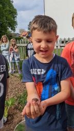 Schüler mit Maikäfer auf der Hand