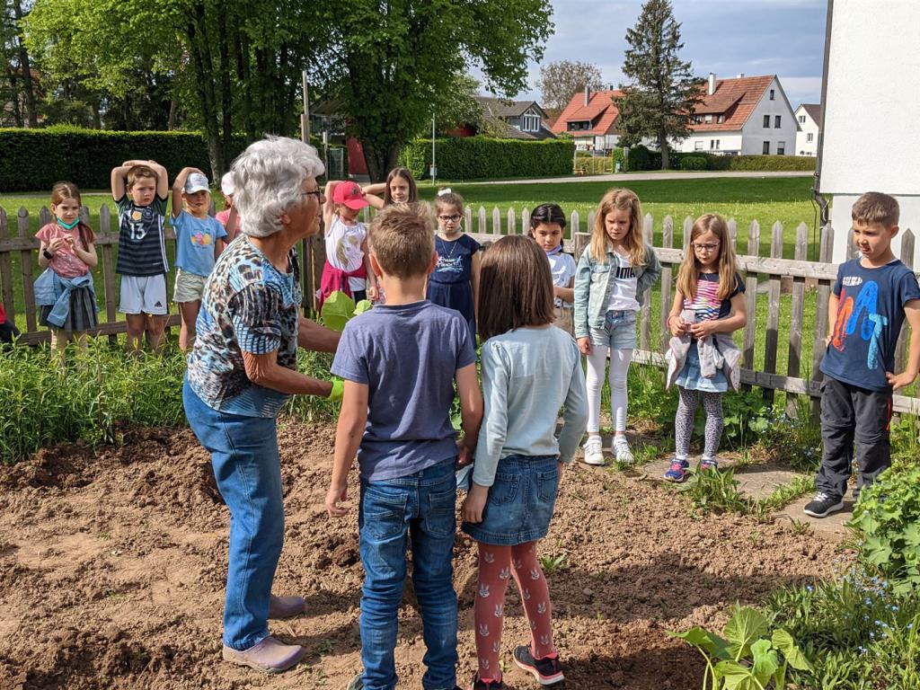Schüler bei Pflanzarbeiten im Schulgarten