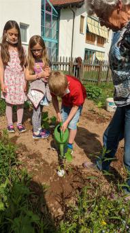 Schüler bei Pflanzarbeiten im Schulgarten der Grundschule Hardt