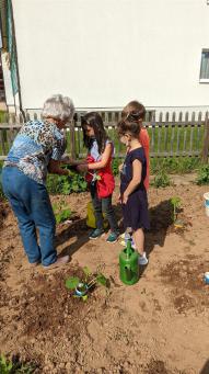 Schüler bei Pflanzarbeiten im Schulgarten der Grundschule Hardt