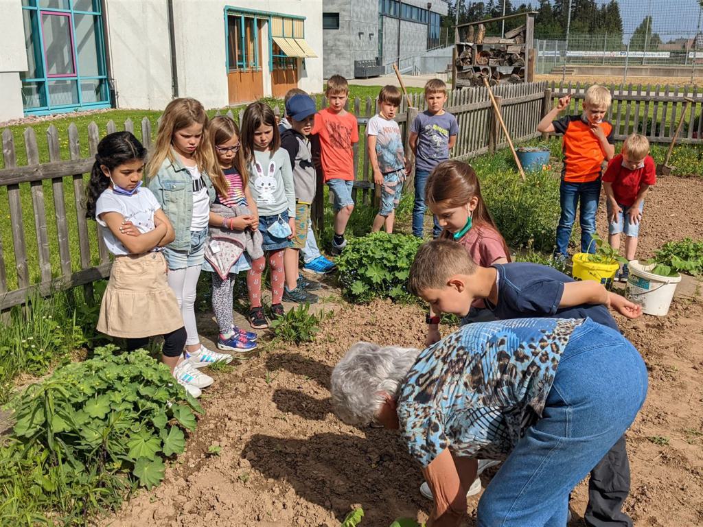 Schüler im Schulgarten