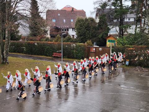 Weiße und schwarze Katzen Narren in zwei Reihen auf dem Schulhof